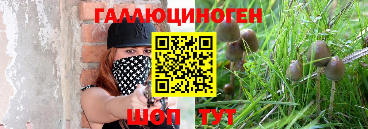 Галлюциногенные грибы GOLDEN TEACHER Белорецк