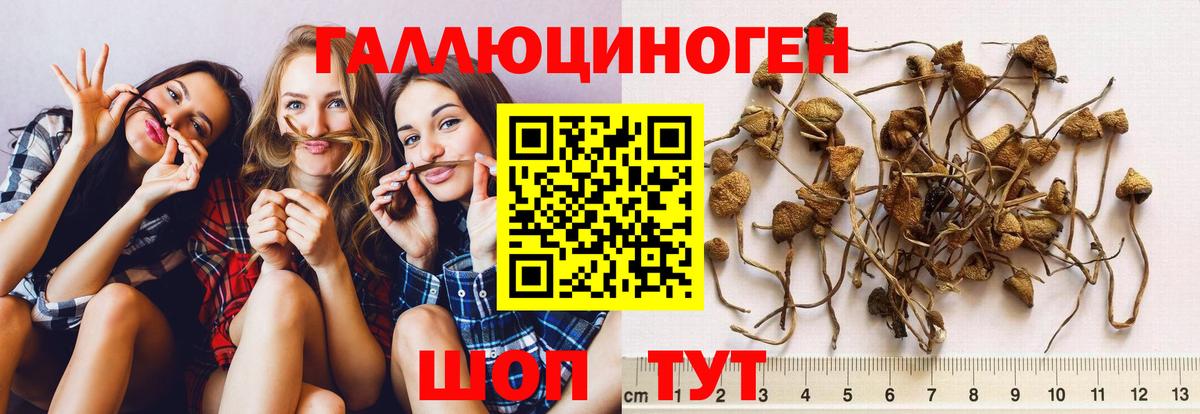 Белорецк  Псилоцибиновые грибы ЛСД  Вход с VPN  Галлюциногенные грибы GOLDEN TEACHER 
